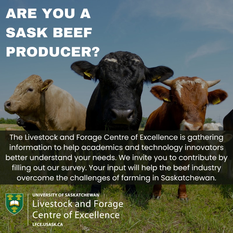 Are you a Sask Beef or Bison Producer? Livestock Saskatoon Kijiji