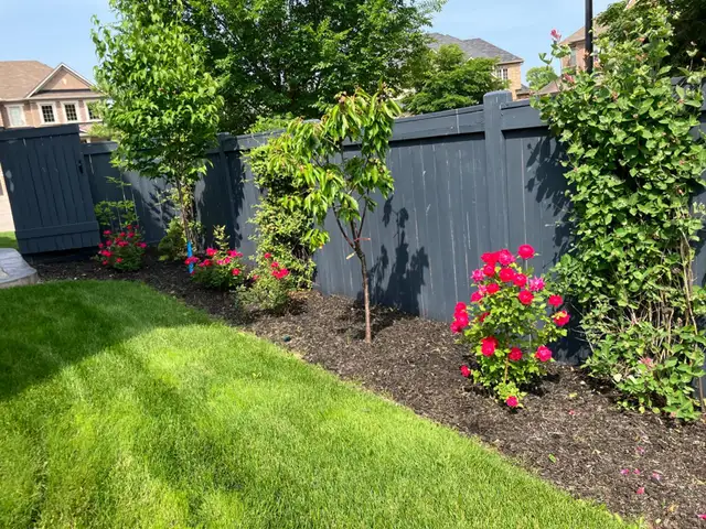 ✅ Landscaping GTA63235482312705123