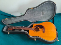 Norman B20 CW Acoustic Guitar Fishman Prefix