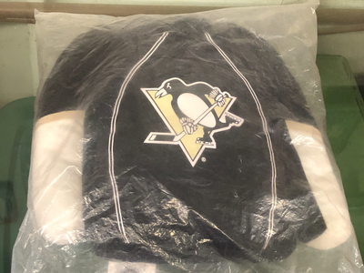 NHL Hockey Pittsburgh Penguins Pillow, View more