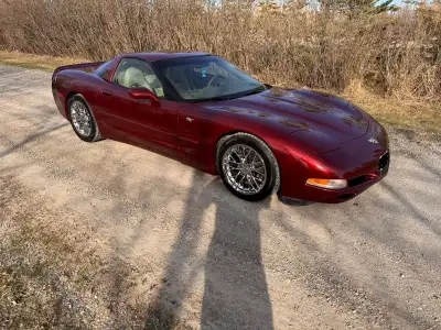 2003 Chevrolet Corvette 5.7L RWD 50th Anniversary. 125,500km This is a gorgeous car that runs beauti...