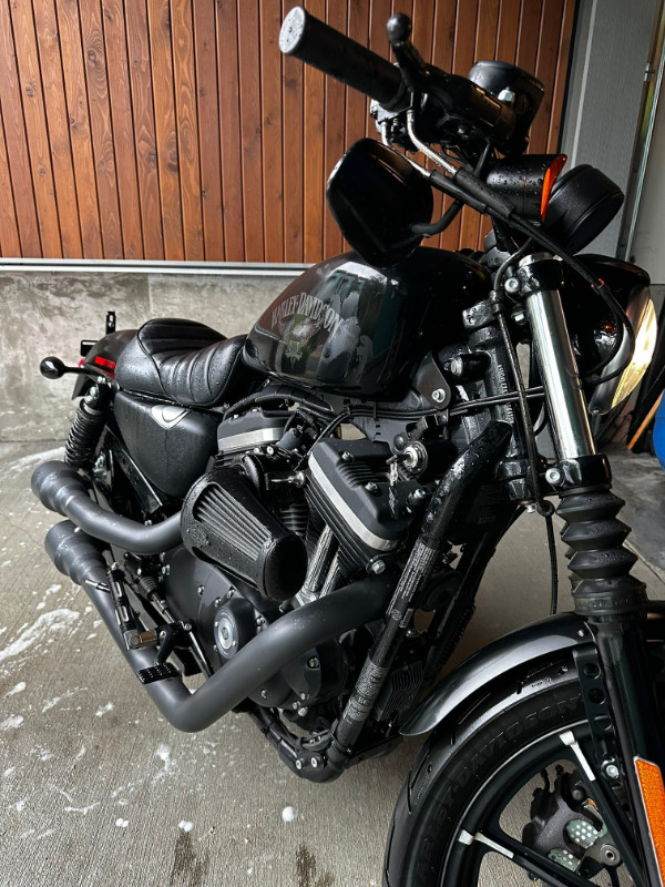 2016 Harley-Davidson Sportster Iron 883 in Street, Cruisers & Choppers in North Shore - Image 2