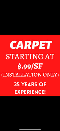 NEXT DAY CARPET SERVICE 35 YRS EXP 24 HR TEXT 289 952 9010