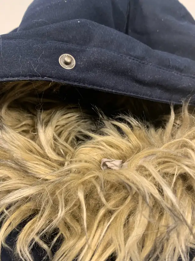 Hollister woman’s large winter jacket  in Women's - Tops & Outerwear in Mississauga / Peel Region - Image 4