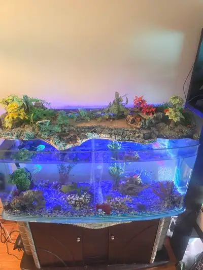 85 gallon aquarium, View more