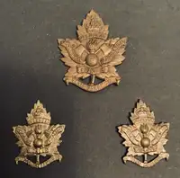Canadian 2nd Pioneer Battalion WW1 CEF Cap and Collar Badges 