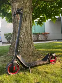10 Inch Electric Scooter 500W 30 KM Range 45 kmh Top Speed