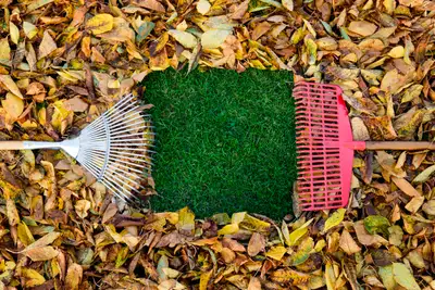 Spring Clean Up, View more
