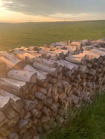 Dry Tamarack Firewood/ Free Delivery , View more