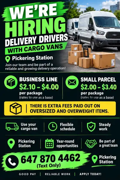 Delivery Driver with Cargo Vans, View more