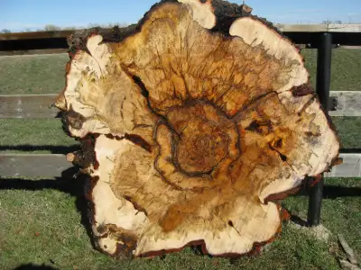LIVE EDGE WOOD, View more