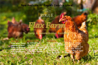 Flax Farm Hemp & Canola Animal Bedding