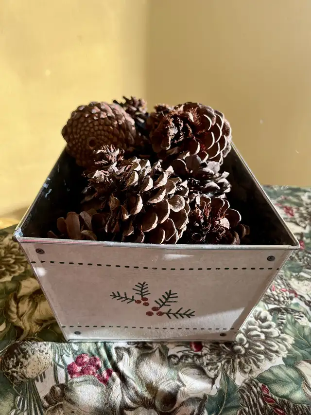 Christmas Tree Farm Bucket in Home Décor & Accents in Edmonton - Image 3