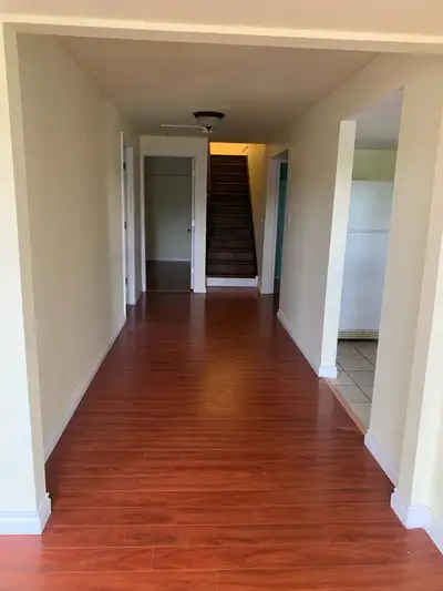 Walkout Basement For Rent.