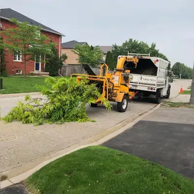 Arborist for hire all tree work big or small, View more