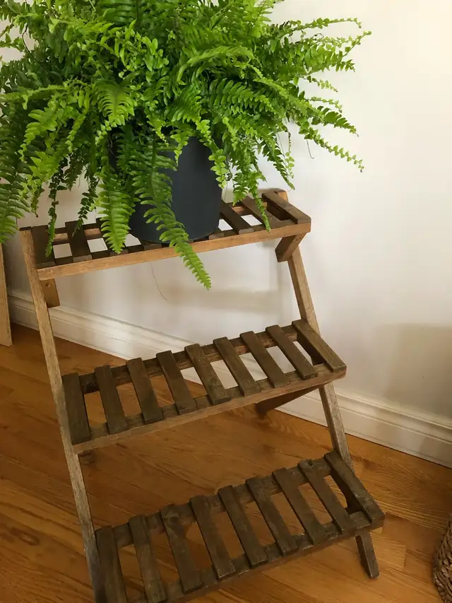 Plant stand / Plant support