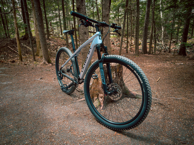 MTB 29 Olympia Iron PRO 2022 Carbon (like new) in Mountain in Dartmouth