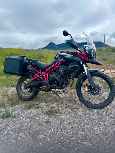 2014 Triumph Tiger low km, cruise control, full set of Triumph panniers 800 cc