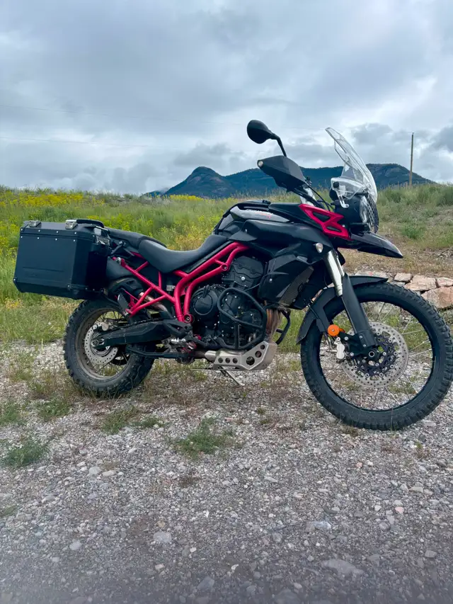 2014 Triumph Tiger in Sport Touring in Cranbrook - Image 2