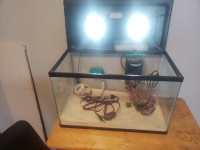 For sale 10 g aquarium used only 1 month comes with