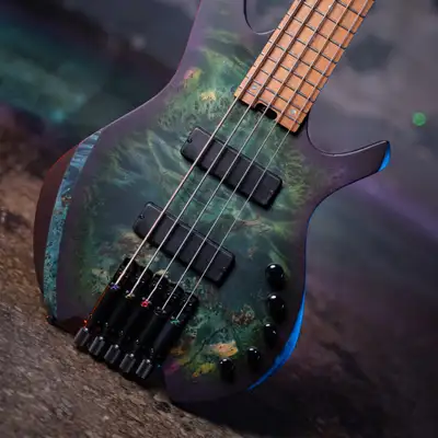 BASSIST WANTED, View more