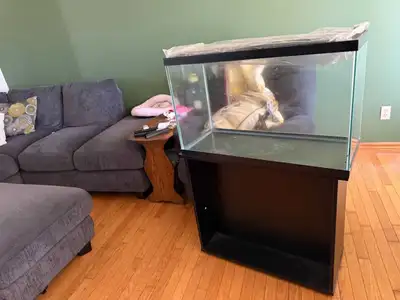Aquarium 30 gallons, View more