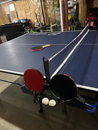 Foldable Ping pong table 