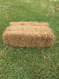 Small straw & hay square bales