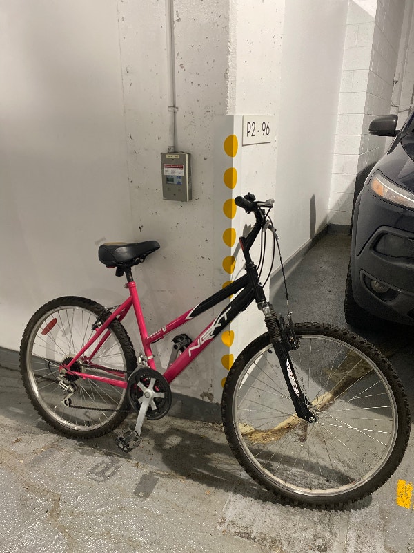 18 Speed, Women’s NEXT Laser Special Edition Bike with gel seat. Road