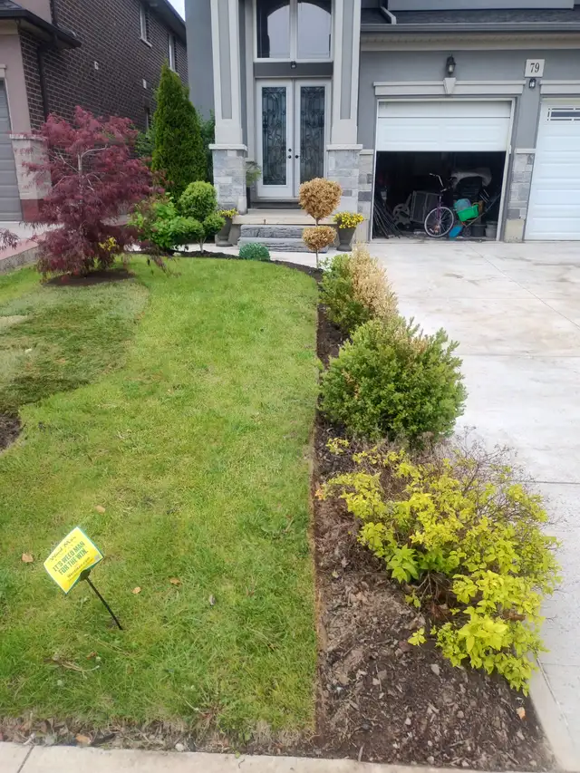 Skilled Carpenter/Landscaper looking for Cash Jobs in Construction & Trades in Hamilton - Image 5