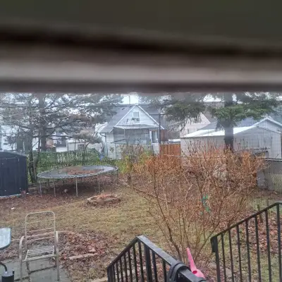 Trampoline, View more