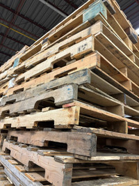 Massive Pallet Supply: $5 for 48 x 40 Pallets in Scarborough
