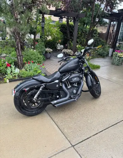 2009 Harley-Davidson Sportster Iron 883 (XL883N) in matte black, officially called Black Denim. “127...