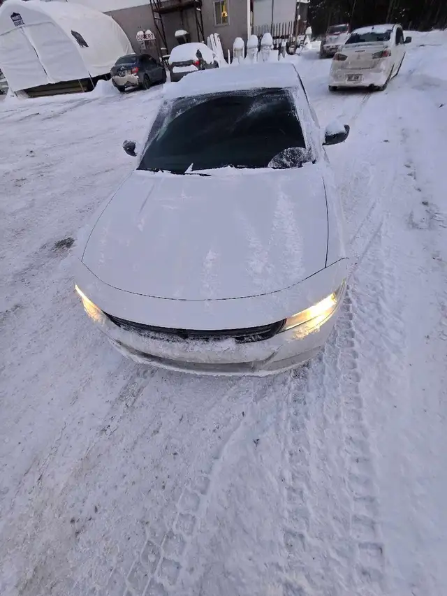 Dodge Charger 2017414904892198768640