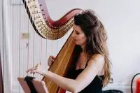 Looking for acoustic or harp player for an evening event