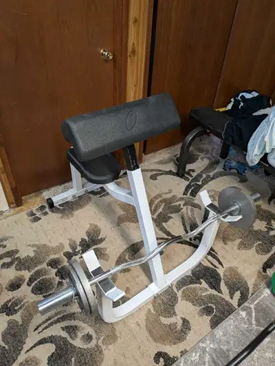 Preacher curl bench with bar and a few weights.