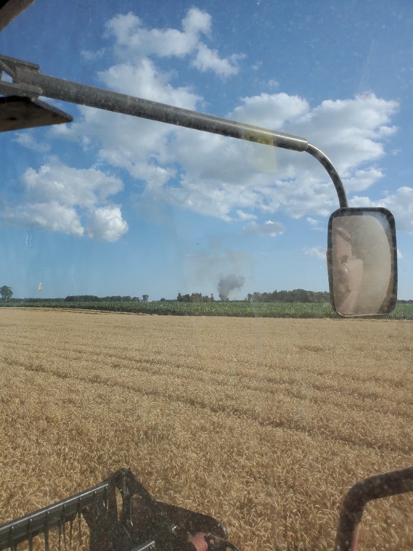 Wheat straw for sale. Farming Equipment ChathamKent Kijiji