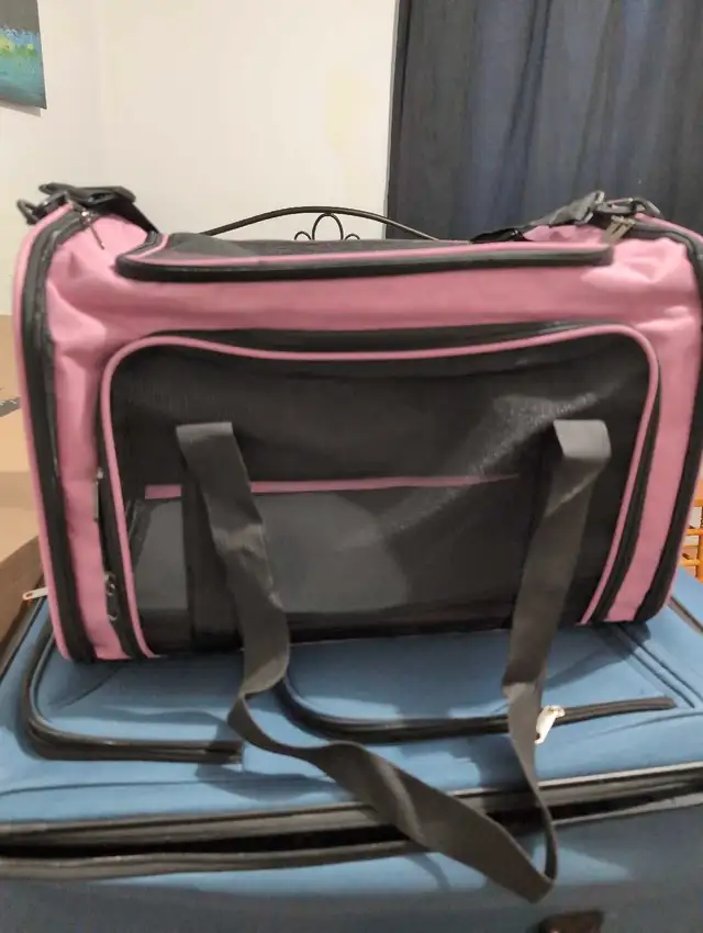 Beaucoup d'accessoires pour chat a vendre in Cats & Kittens for Rehoming in Trois-Rivières - Image 3