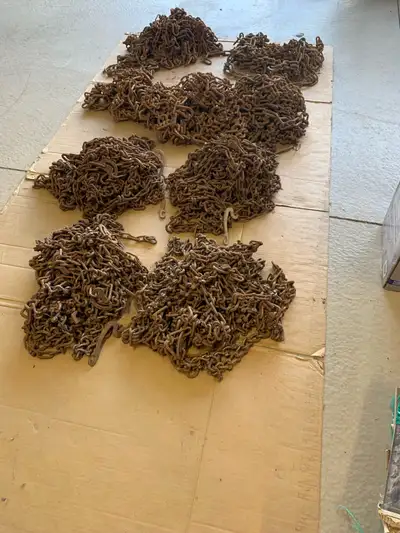 Various sizes of tire chains. Take them all for $300.