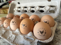 Farm Fresh Eggs 
