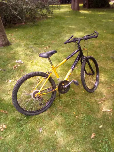 18 speed youth mountain bike, good for up to 5' 4", 24 inch wheels, kickstand. $90