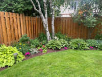 Landscaping! Booking proper cleanups now! 