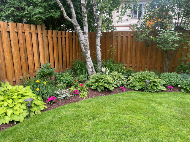 Booking property cleanups now!  in Lawn, Tree Maintenance & Eavestrough in Ottawa
