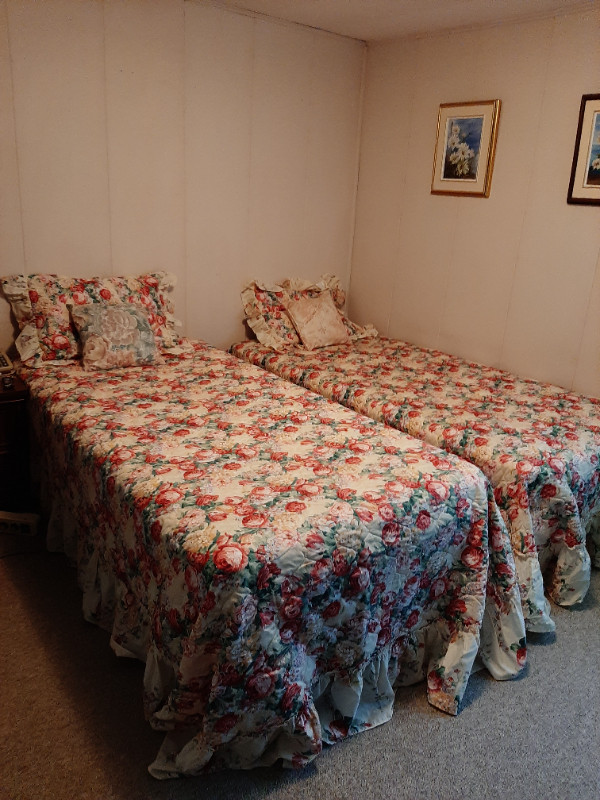 Single adjustable beds in Beds & Mattresses in Kamloops - Image 2