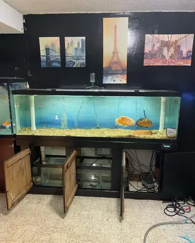 125 Gallon Aquarium, View more
