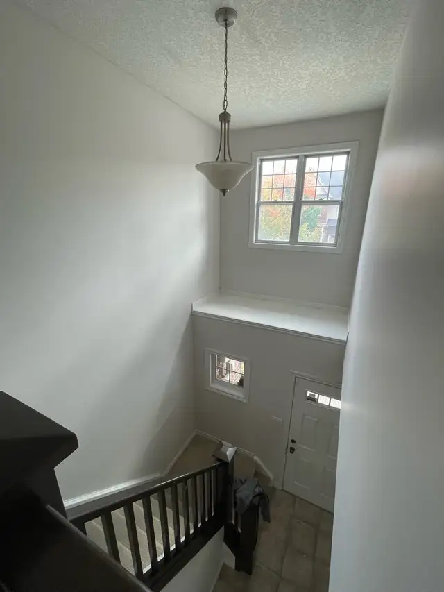 pro painters / floor installer 30 y exp best price guarantee63738356185731124