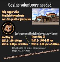 Volunteers needed for Casino
