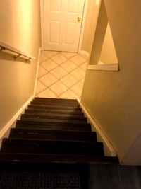 1 Bed Room Seperate Entrance Basement Available for Rent