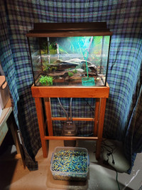 20 gallon fish tank with cannister filter and stand.