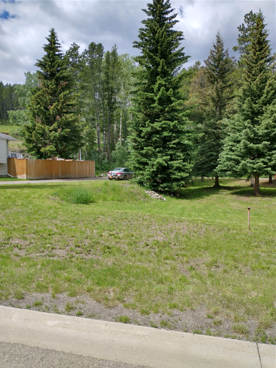 Fantastic large lot in Blairmore Alberta. Irregular shape 26.7 meters front, 38.1 meters depth. In n...